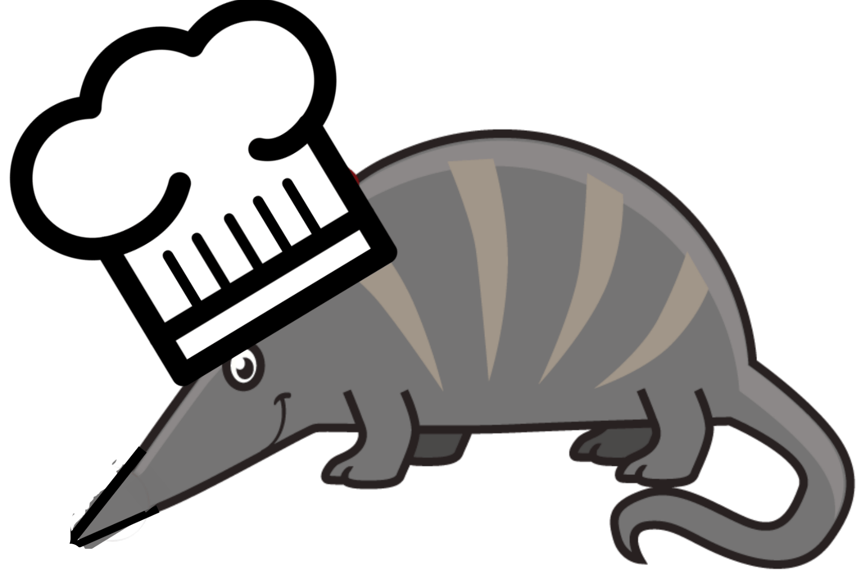 healthy recipes cooking armadillo