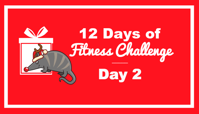 day 2 fitness challenge