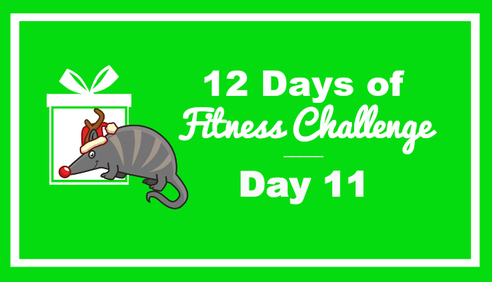 day 11 fitness challenge