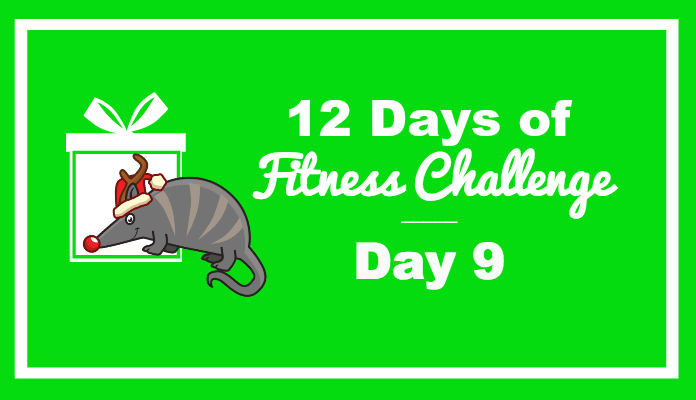 day 9 fitness challenge