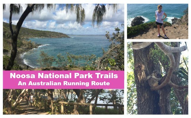 noosa national park running route australia